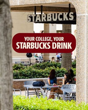 Image post by @uofscstudents on Instagram