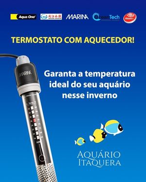 Image post by @aquarioitaquera on Instagram