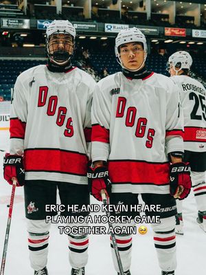 Video post by @ohlicedogs on TikTok