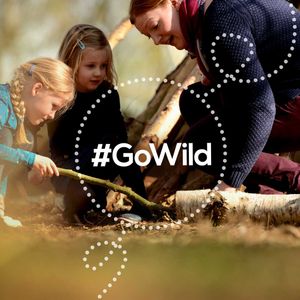 Image post by @rspb on Instagram
