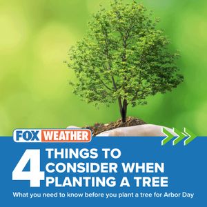 Image post by @foxweather on Instagram