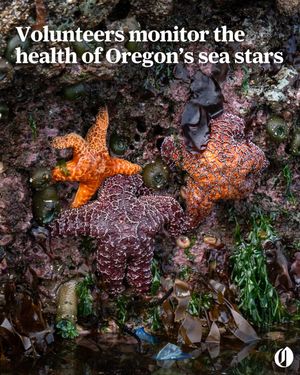Image post by @theoregonian on Instagram