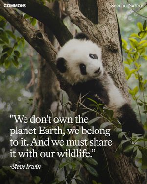 Image post by @commonsearth on Instagram