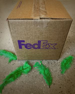 Image post by @fedex on Instagram