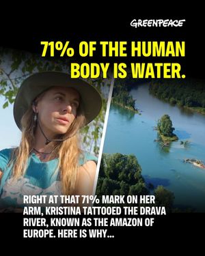 Image post by @greenpeace on Instagram