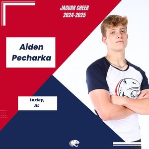 Image post by @southalabama.cheerleading on Facebook