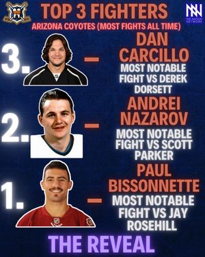 Image post by @hockeyfights on Instagram