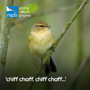 Image post by @rspb on Instagram
