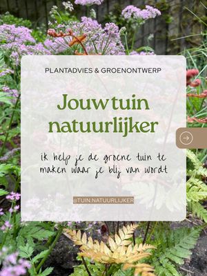 Image post by @tuin.natuurlijker on Instagram