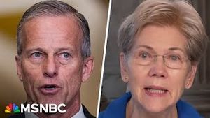 Video post by @msnbc on YouTube