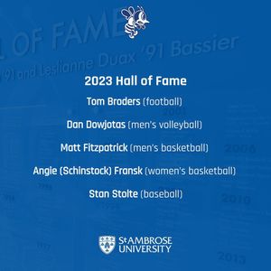 Image post by @saubees on Instagram