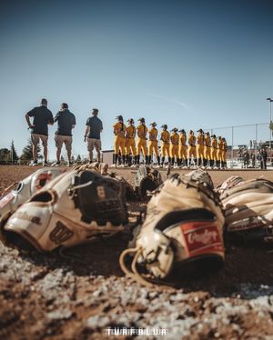 Image post by @turfblur on Instagram