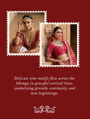 Image post by @ambika_fashion_kolkata on Instagram