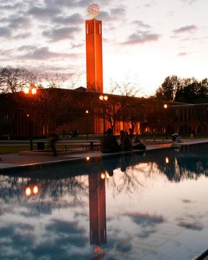 Image post by @uscdornsife on Instagram