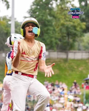 Image post by @littleleague on Instagram