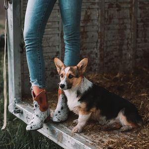 Image post by @marijka_dam on Instagram
