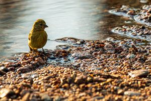 Image post by @joshuafisherphotography on Instagram