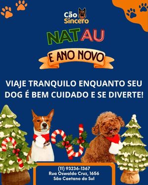 Image post by @adestradores.caosincero on Instagram