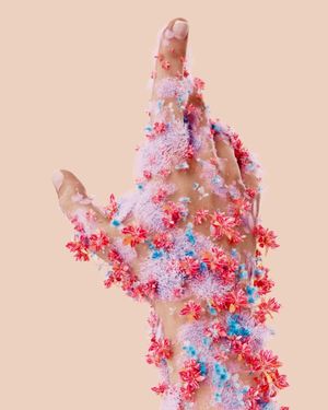 Image post by @heerataak on Instagram