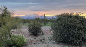 Image post by @AJCityAZ on Twitter