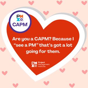 Image post by @PMInstitute on Twitter