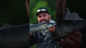 Video post by @jonasederfishing on YouTube