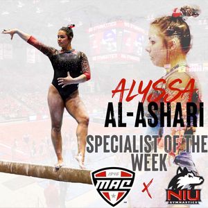 Image post by @Niugymnastics on Twitter