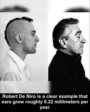 Image post by @conspiracytheorily on Instagram