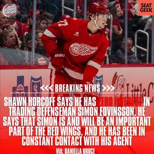 Image post by @redwingscoverage on Instagram