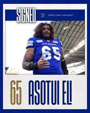Image post by @wpgbluebomberscfl on Instagram
