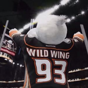 Image post by @anaheimducks on Instagram