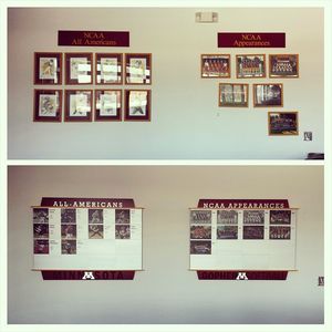 Image post by @gophersoftball on Instagram