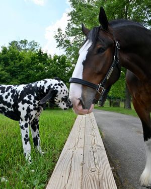 Image post by @warmspringsranch on Instagram