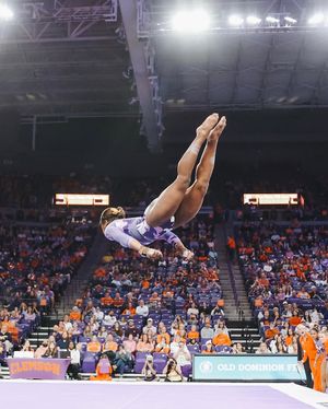 Image post by @clemsongymnastics on Instagram