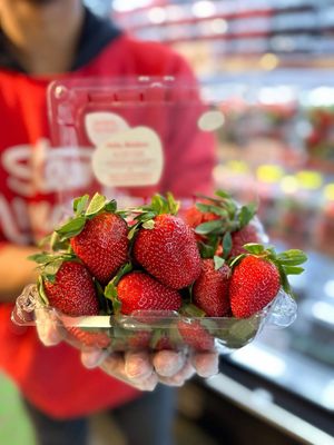 Image post by @stewleonards on Instagram