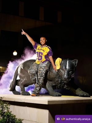 Image post by @pvamu on Instagram