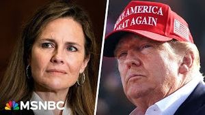 Video post by @msnbc on YouTube