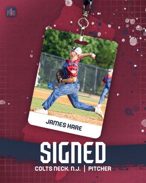 Image post by @FDUKnightsBase on Twitter