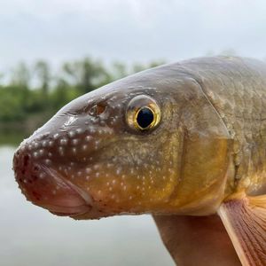Image post by @usfws on Instagram