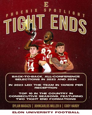 Image post by @elonfb on Instagram