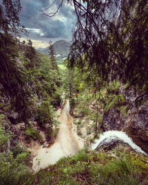 Image post by @cristan.nature.photography on Instagram