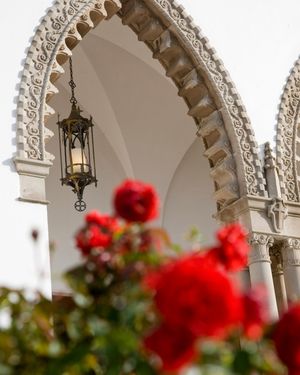 Image post by @loyolamarymount on Instagram