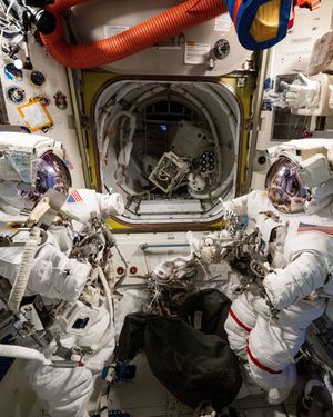 Image post by @iss on Instagram