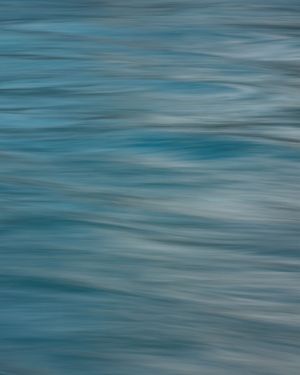 Image post by @madwilliams727 on Instagram