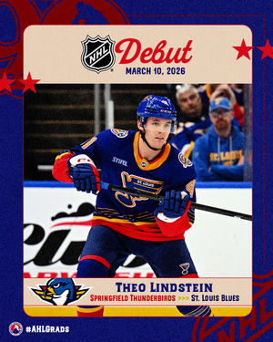 Image post by @theahl on Instagram