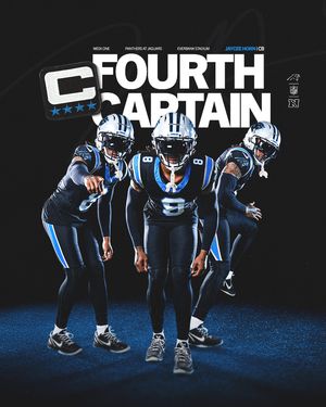 Image post by @panthers on Instagram