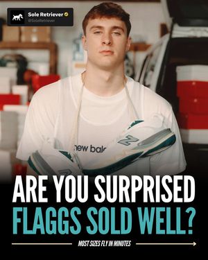 Image post by @soleretriever on Instagram