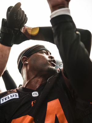 Image post by @bclions_official on Instagram