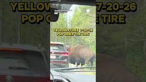 Video post by @accuweather on YouTube