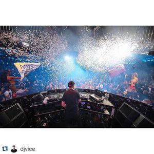Image post by @marqueelv on Instagram